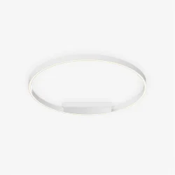 Потолочный светильник Rim 3000-4000К 48Вт (Белый)