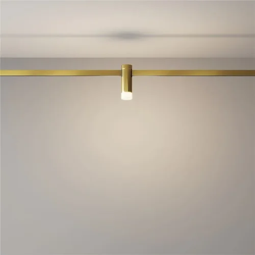 Трековый светильник Skim Flarity 4000K 2Вт 110° (Латунь) - фото 7