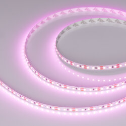 Светодиодная лента RT-А120-8mm 12V Pink (9.6 W/m, IP20, 2835, 5m) (Arlight, Открытый) 015897(2)