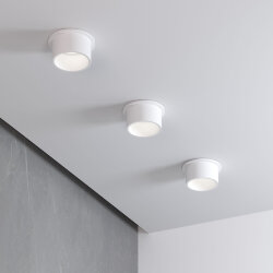 Встраиваемый точечный светильник 25004/01