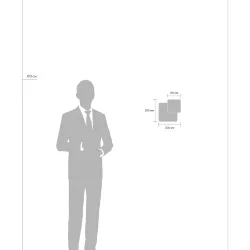 Настенный светильник (бра) Сиала 02 / Siala 02 (Белый) FR10027WL-L13W