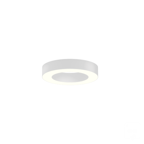 Светильник 6063 кольцо (RAL9003/425mm/LT70 — 4K/40W) - фото 1