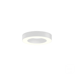 Светильник 6063 кольцо (RAL9003/425mm/LT70 — 4K/40W)