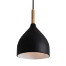 Подвесной светильник FR5466PL-01B Анфас / Enface E27x1 (Черный) FR5466PL-01B - фото 4