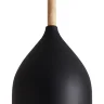 Подвесной светильник FR5466PL-01B Анфас / Enface E27x1 (Черный) FR5466PL-01B - фото 9