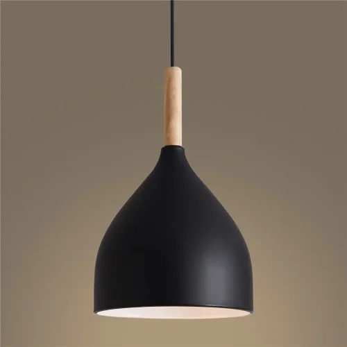 Подвесной светильник FR5466PL-01B Анфас / Enface E27x1 (Черный) FR5466PL-01B - фото 10