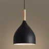 Подвесной светильник FR5466PL-01B Анфас / Enface E27x1 (Черный) FR5466PL-01B - фото 10