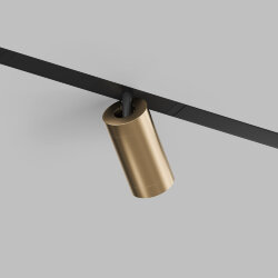 Акцентный светильник SMART SPOT 9W DIM 3000K-6000K, матовое золото с черным, Denkirs DK8010-BG