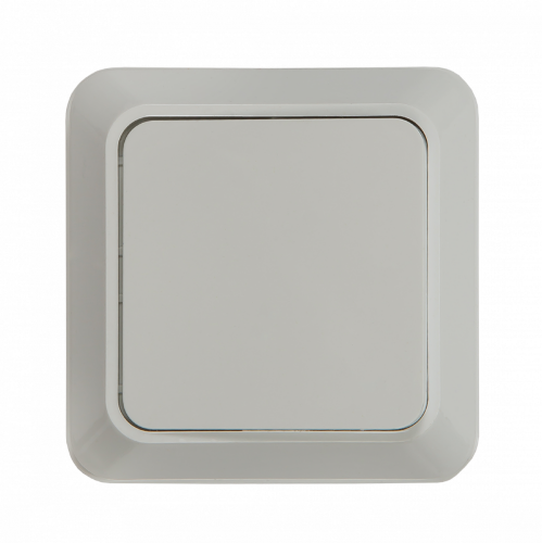 Выключатель одноклавишный BOLLETO белый накладной 7021 IN HOME - Фото