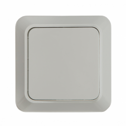 Выключатель одноклавишный BOLLETO белый накладной 7021 IN HOME