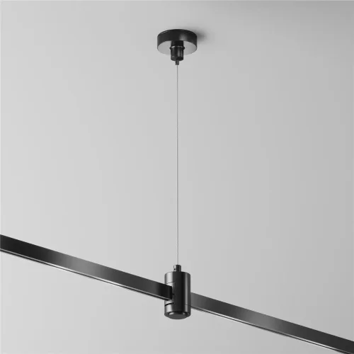 Подвес тросовый Hang одинарный Flarity черный (Черный) TRA157SW-S1-B - фото 2