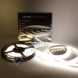 Светодиодная лента Class Premium, 5050, 60 led/m, Day White, 24V, IP65, А25