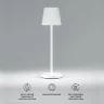 Уличный настольный светодиодный светильник Mist с аккумулятором TL70220 белый - фото