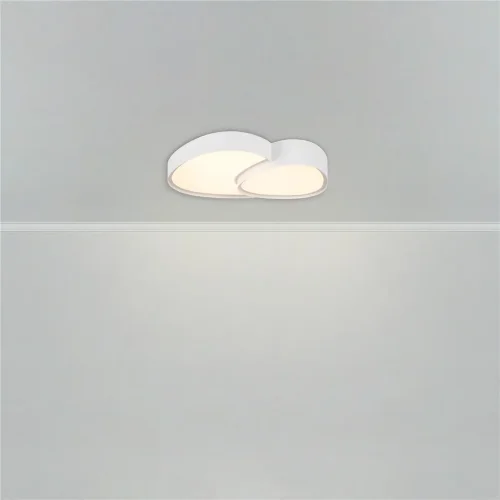 Потолочный светильник FR6079CL-L72W Скромность / Modesty 72 Вт LED с пультом ДУ (Белый) FR6079CL-L72W - фото 5