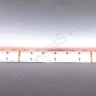 Светодиодная лента Standart PRO class, 5050, 120 led/m, RGBW, 24V, IP65 - фото 4.