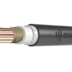 Кабель ВВГнг(А)-FRLS 1х50 МК Б 0.66кВ (м) Цветлит 00-00140681