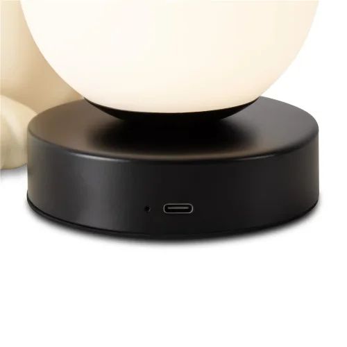 Настольный светильник Вискер / Whisker (Черный) FR5607TL-01W - фото 4