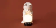 Настольный светильник Вискер / Whisker (Черный) FR5607TL-01W - фото 13