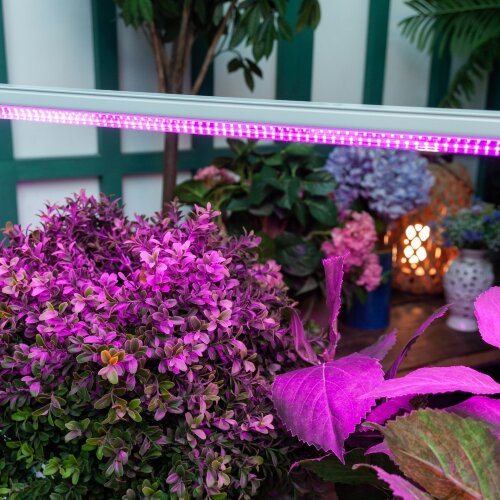 ULI-P21-35W-SPSB IP40 WHITE Светильник для растений светодиодный линейный, 1150мм, выкл, на корпусе, Спектр для рассады и цветения, TM Uniel - фото 9