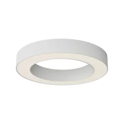 Потолочный светильники Lua 3000К 36Вт 120° (Белый)