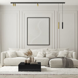 Подвесной светильник SMART SPOT 9W DIM 2700K-6000K матовое золото с черным, Denkirs DK8008-BG