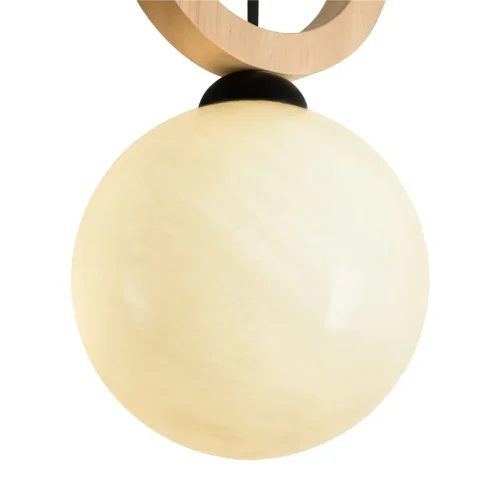 Подвесной светильник Freya FR5593PL-01B (Черный) - фото 4