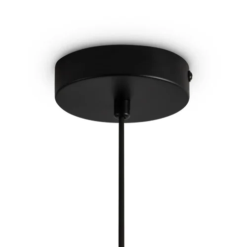 Подвесной светильник Freya FR5593PL-01B (Черный) - фото 7