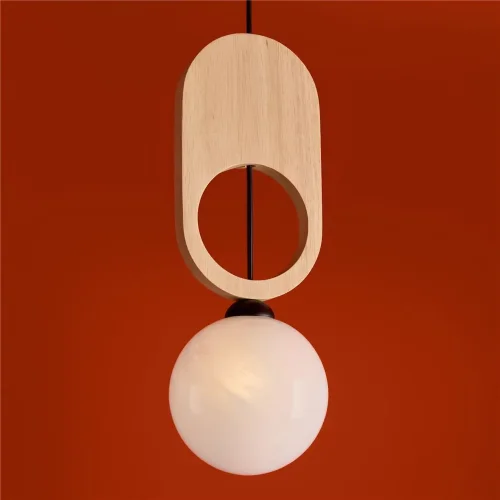 Подвесной светильник Freya FR5593PL-01B (Черный) - фото 13