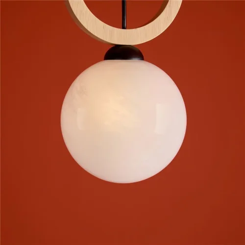 Подвесной светильник Freya FR5593PL-01B (Черный) - фото 14