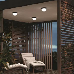 Потолочный светильник Mon 3000K 12Вт IP 65 (Графит)