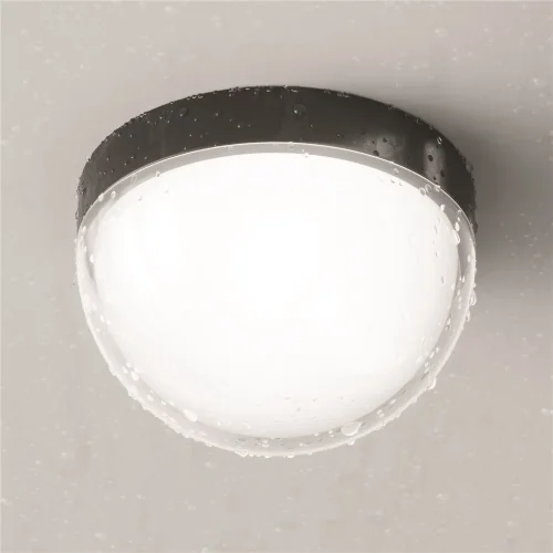 Потолочный светильник Mon 3000K 12Вт IP 65 (Графит) - фото 5