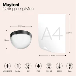 Потолочный светильник Мон / Mon 3000K 12Вт IP 65 (Графит) O438CL-L12GF3K