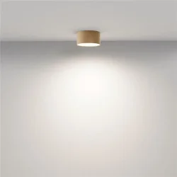 Потолочный светильник Zon 4000K 12W 120° (Матовое Золото)