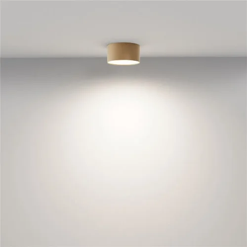 Потолочный светильник Zon 4000K 12W 120° (Матовое Золото) - фото 3