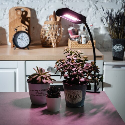 ULT-P31-12W-SPLE-40 IP40 BLACK SINGLE Светильник для растений светодиодный, на прищепке, Спектр для фотосинтеза, TM Uniel - фото 5