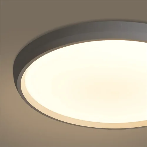 умный Потолочный светильник FR6211CL-L24W Обель / Obelle 24 Вт LED (Белый) FR6211CL-L24W - фото 12