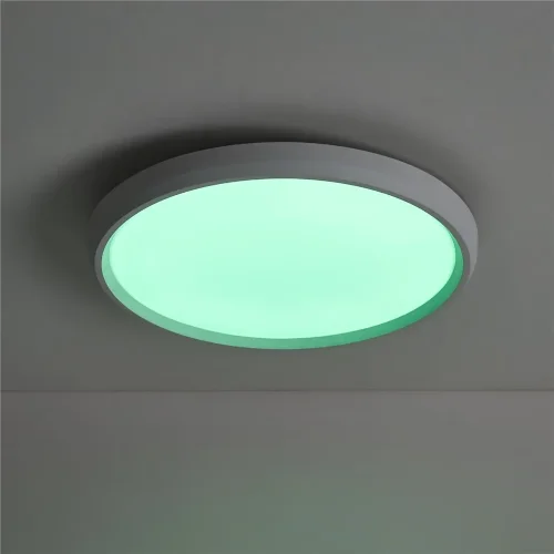 умный Потолочный светильник FR6211CL-L24W Обель / Obelle 24 Вт LED (Белый) FR6211CL-L24W - фото 13
