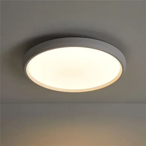 умный Потолочный светильник FR6211CL-L24W Обель / Obelle 24 Вт LED (Белый) FR6211CL-L24W - фото 15