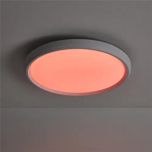 умный Потолочный светильник FR6211CL-L24W Обель / Obelle 24 Вт LED (Белый) FR6211CL-L24W - фото 17
