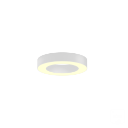 Светильник 6063 кольцо (RAL9003/425mm/LT70 — 3K/40W)