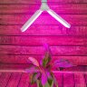 LED-P65-16W-SPSB-E27-FR-P2 PLP32WH Лампа светодиодная для растений, Форма P лепестковая, матовая, Спектр для рассады и цветения - фото 7