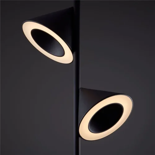 Напольный светильник (торшер) Freya FR6141FL-L14B (Черный) - фото 3