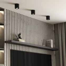 Накладной потолочный светильник 25041/LED