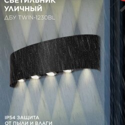Светильник уличный светодиодный ДБУ TWIN-1230BL 12Вт 3000К 270х80 черный IP54 IN HOME