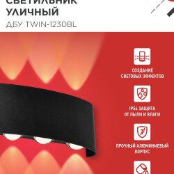 Светильник уличный светодиодный ДБУ TWIN-1230BL 12Вт 3000К 270х80 черный IP54 IN HOME