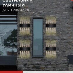 Светильник уличный светодиодный ДБУ TWIN-1230BL 12Вт 3000К 270х80 черный IP54 IN HOME