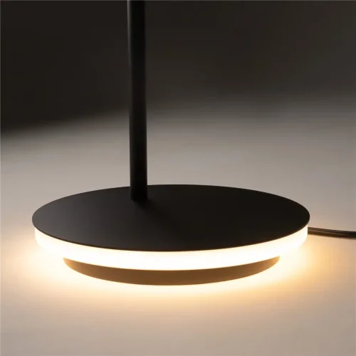 Напольный светильник (торшер) Эстудо / Estudo 3000К 11Вт (Черный) Z010FL-L8B3K - фото 10