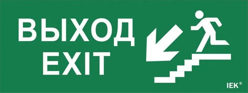 Этикетка самоклеящаяся 'Выход/лестница вниз/фигура' ДПА IP20/54 IEK LPC10-1-24-09-VLVNF - фото