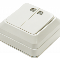 Выключатель двухклавишный с подсветкой BOLLETO белый накладной 7123 IN HOME