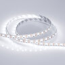 Светодиодная лента RT 2-5000 12V Cx1 White6000 2x (5060, 360 LED, LUX) (Arlight, 15.6 Вт/м, IP20) - фото 5